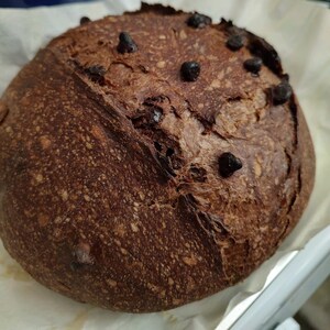 Chocolate Dutch/Wales Sourdough Starter Live Ready to Bake or Dehydrate image 8