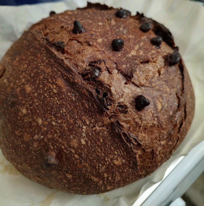 Chocolate Dutch/Wales Sourdough Starter Live Ready to Bake or Dehydrate image 8