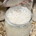 Perfect for Beginners! 200+ Year Old San Francisco Sourdough Starter Live Ready to Bake or Dehydrated