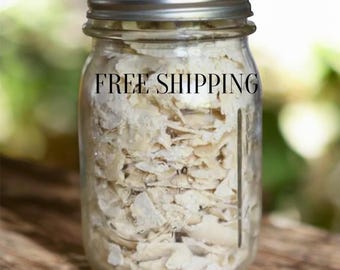 200+ yr. Old San Francisco, 1000+ yr. Old Dutch/Wales, 5000+ yr. Old Red Sea, 400+ German, France, Italian Sourdough Starters Free Shipping!