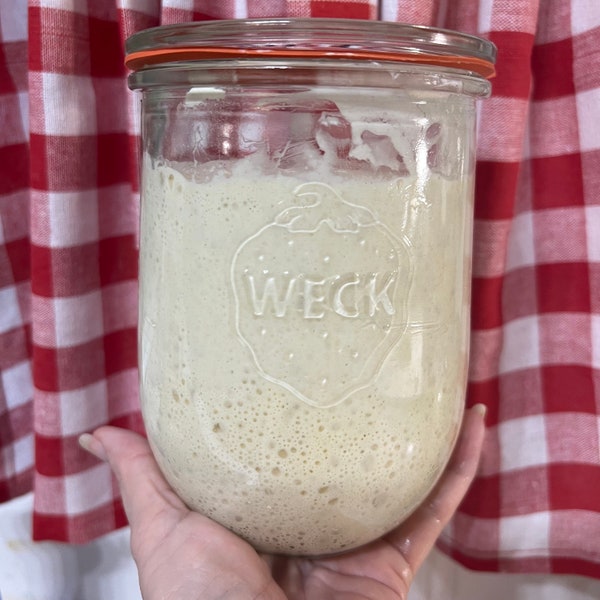 100+ Years Old Sourdough Starter Eve Dehydrated or Active!