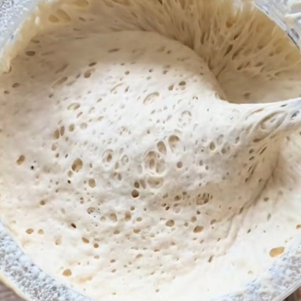 100+ Years Old Sourdough Starter Eve Dehydrated or Active!