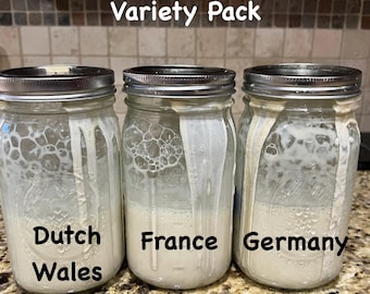 Può includere: Tre barattoli di vetro con etichette bianche e coperchi argentati. Le etichette riportano "Dutch Wales", "France" e "Germany". I barattoli sono riempiti con un liquido bianco e spumoso. Il testo "Variety Pack" è scritto sopra i barattoli.