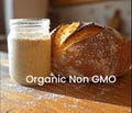 1000+ Year Organic Italian Sourdough Starter Dehydrated or Live Ready to Bake