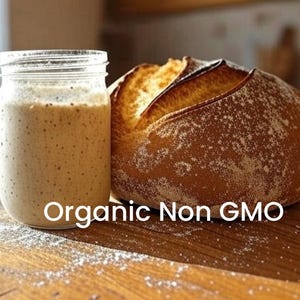 1000+ Year Organic Italian Sourdough Starter Dehydrated or Live Ready to Bake