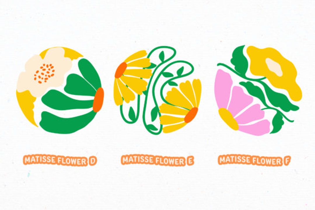 Set of 15 Matisse Flower Print, Henri Matisse Print Set Download ...