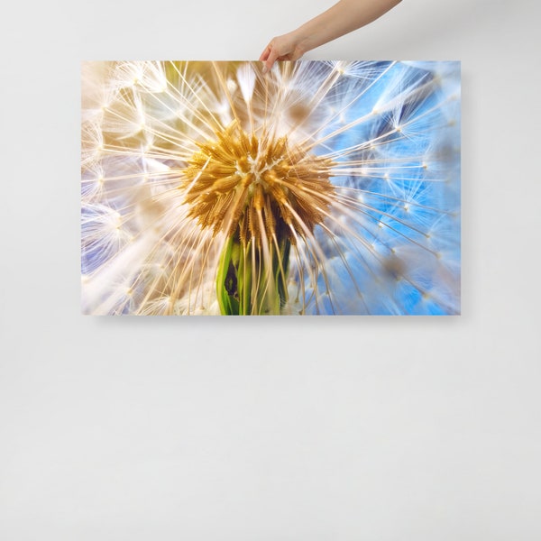 Dandelion Macro - Poster