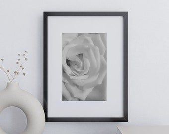 Art mural rose blanche | Photographie de fleurs | Photographie de fleur de rose en noir et blanc