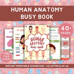Może przedstawiać: Zestaw kolorowych książek edukacyjnych zatytułowanych "Human Anatomy Busy Book" z ilustracjami ludzkiego ciała. Okładka przedstawia kreskówkowy design i tekst "40+ stron". Zawiera darmowy pakiet plików.