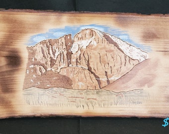 Charcuterie/Bread boards.