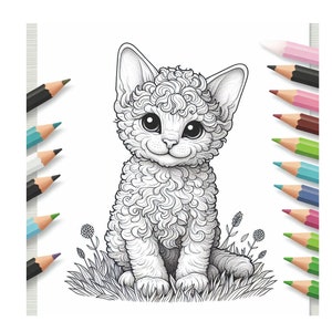 Devon Rex Malbuch - 24 Seiten