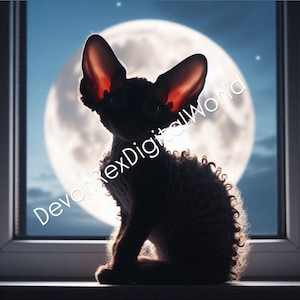 Devon Rex Kitten - JPEG - Alta qualidade - Impressões em tela, Criação de cartões, Clip Art, Artesanato em papel, Arte em aquarela, Design de camisetas - Halloween