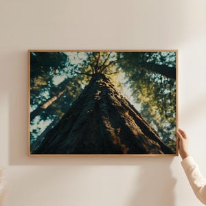 Tree Poster - Autumnal forest - Foggy Forest Print - Misty Forest Print - Misty mountain art - Forest Photo Print - Autumn - Tree Wallart