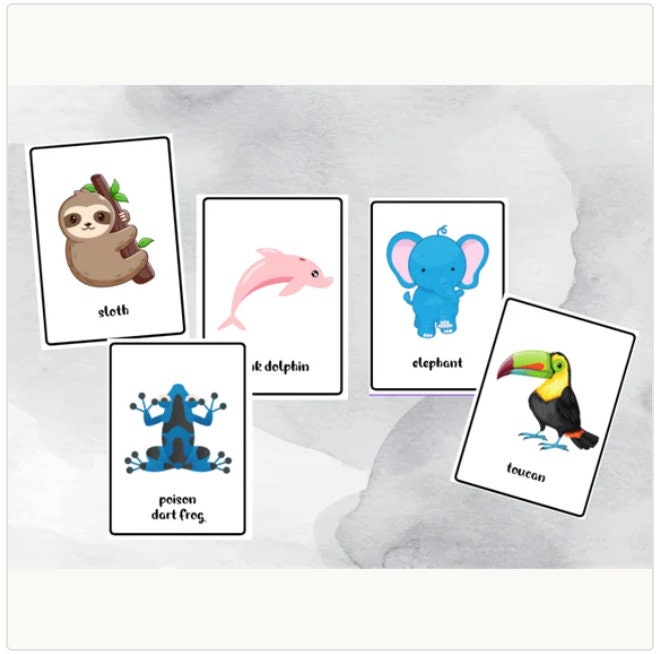 40 Printable Jungle Animal Flash Cards, Educational Printable Cards ...