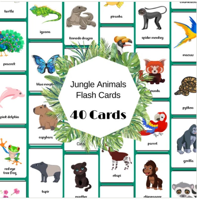 40 Printable Jungle Animal Flash Cards, Educational Printable Cards ...