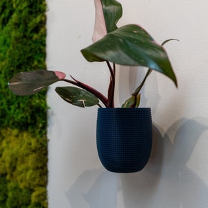 The Grid - Wall Mounted Plant pot for succulents and smaller plants - renter friendly command strip mount