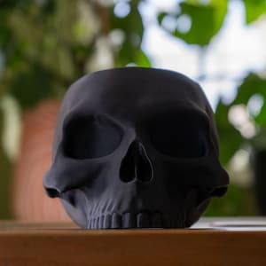 Skull Planter - Lustiger gruseliger Schädel-Blumentopf mit mehreren Farboptionen