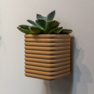 Può includere: Un vaso quadrato beige con un design a coste, contenente una pianta succulenta verde. Il vaso è montato su un muro bianco, mostrando un'estetica moderna e minimalista. La pianta ha foglie spesse e carnose.