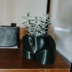 Op de afbeelding: Een donkergroene keramische plantenpot in de vorm van een menselijk torso, met een vetplant die erin groeit. De pot staat op een houten plank.