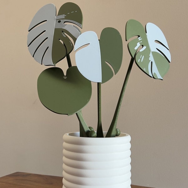 Monstera Albo Untersetzer Pflanze