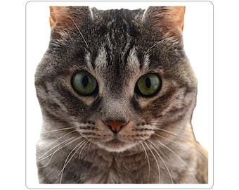Personal Cat Sticker - Cute Real Cat Face Decal for Laptop, Water Bottle, Journal, Gifts for Cat Lovers, Pet Owners