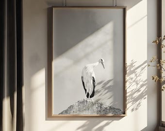 Stork Wall Art Printable White Stork Fine Art Print Migrant Bird illustration Ornithological Print Black and White Photography Poster