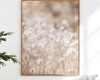 Pampas Print Bunny Tail Grass Photography Neutral Beige Wall Art Rustic Wildflower Printable Downloadable Farmhouse Prints