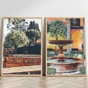 Botanical Art Set of 2 Prints Spanish Garden Photos Botanical Art Set Extra Large Wall Art Orange Citrus Print