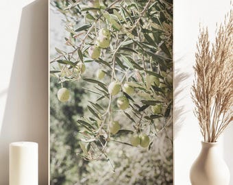 Olive Print Wallart Gallery Style Photo Olive Wall Art Printable Green Olive Branch Instant Download
