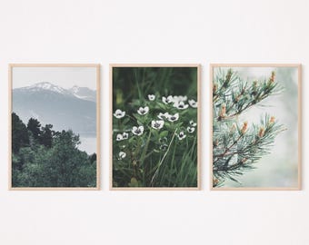Forest Print Set of Forest 3 Piece Set Evergreen Landscape Misty Mountains Pine Tree Branch White Wildflowers Field Dark Green Wall Art