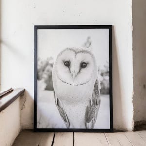 Black & White Owl Printable Wall Art Woodland Nursery Owl Poster Instant Download Owl Photo Whimsical Home Decor Owl Print for Kids Room