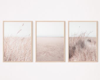 Printable Neutral Beach Grass Photography Pampas Print Set of 3 Neutral Boho Beach Gallery Wall Set Neutral Tones Wall Decor Dried Grass