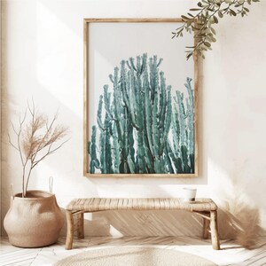 Puede incluir: Una impresión enmarcada con una pintura de acuarela de un cactus verde alto sobre un fondo blanco. La obra de arte se exhibe sobre un banco tejido, con una planta decorativa en una maceta grande a la izquierda.