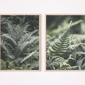Set of 2 Printable Nordic Forest Wall Art Nordic Landscape Wall Art Poster Green Fern Plant Print Download Printable Farmhouse Wall Decor
