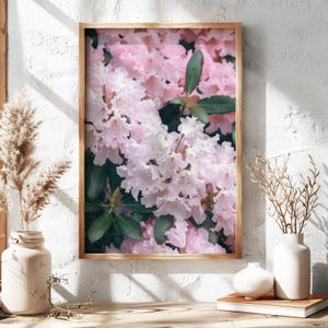 Rhododendron Wall Art Washington State Symbol Rhododendron Print Washington Rhododendron Pink Flower Rhododendron Wall Poster Botanical Art