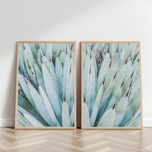 Set von 2 druckbare Sukkulenten Wand Kunst Türkis Agave Wand Kunst Kaktus Poster Sofort Download Frühlingsstimmung Wandbehang Blumenliebhaber Geschenk