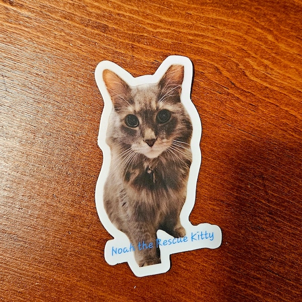 Noah the Rescue Kitty Vinyl Sticker/Decal