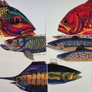 Bunte Salzwasser Fische Blanko-Grußkarten - Set mit 6 Karten