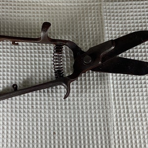 VINTAGE PAIR of SHEARS from Dreer’s garden catalog of 1942.