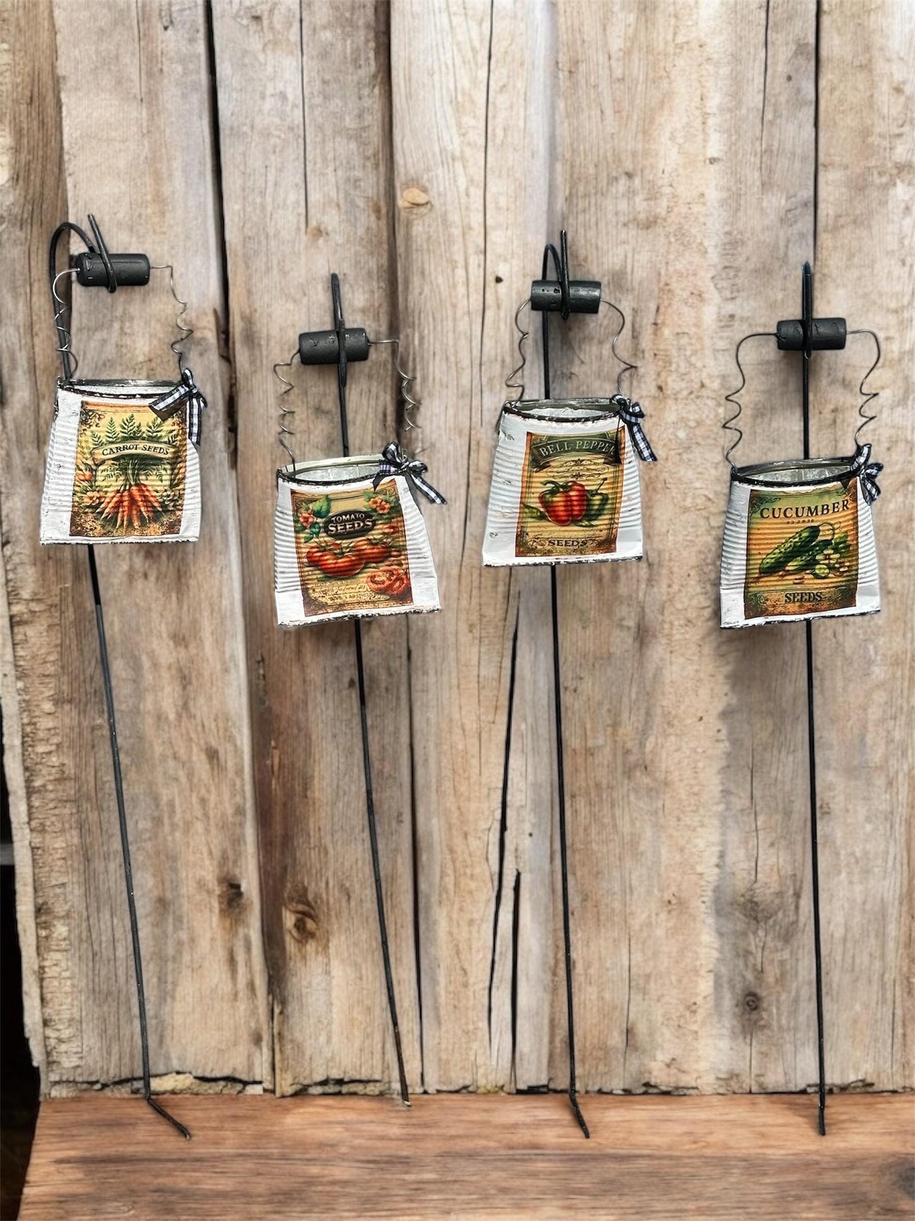 Cast Iron Plant Seeds - Etsy Canada