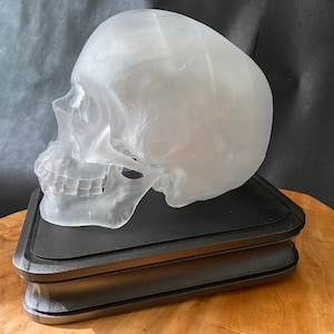 The Sapien.  Life-sized, LED lighted, anatomically accurate resin sculpture/lamp of a human skull.  RGB multicolor, man-cave, decor, oddity