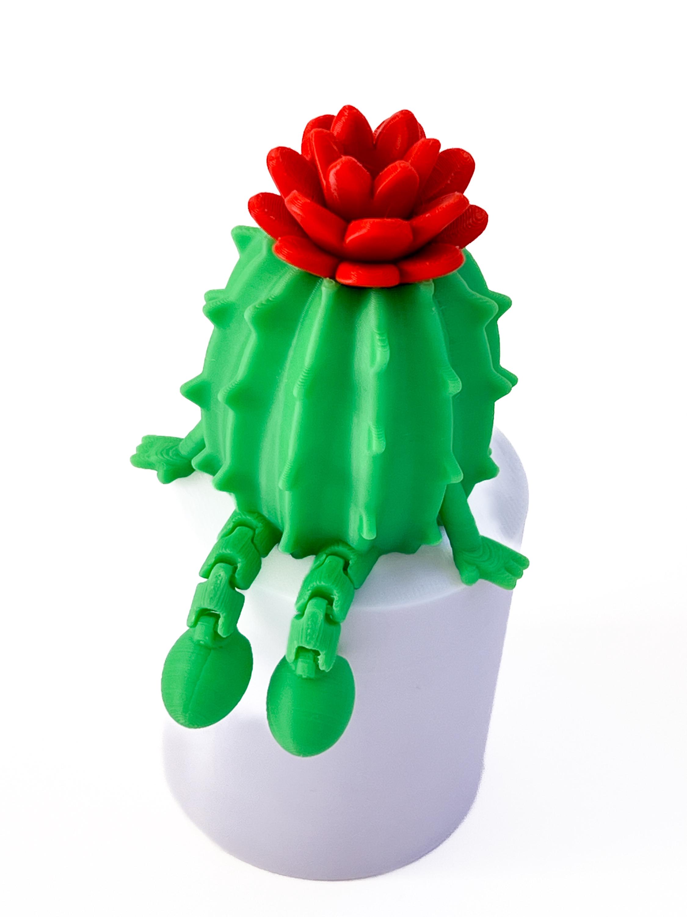Articulated Cactus Buddy 3D Printed Succulent Figurine Cute