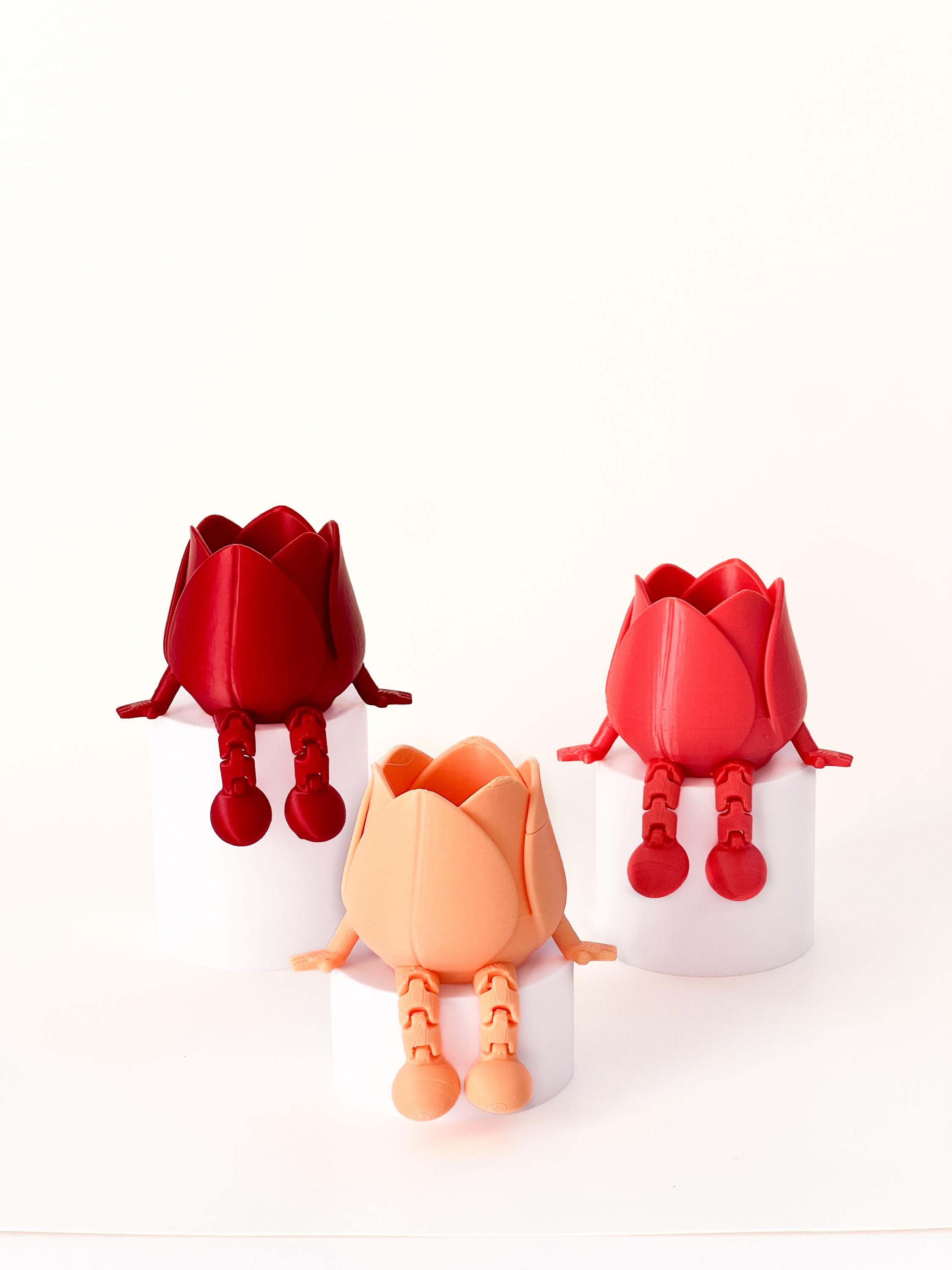 Secretary Day Gift Tulip for Desk Descor 3D Printed Articulated