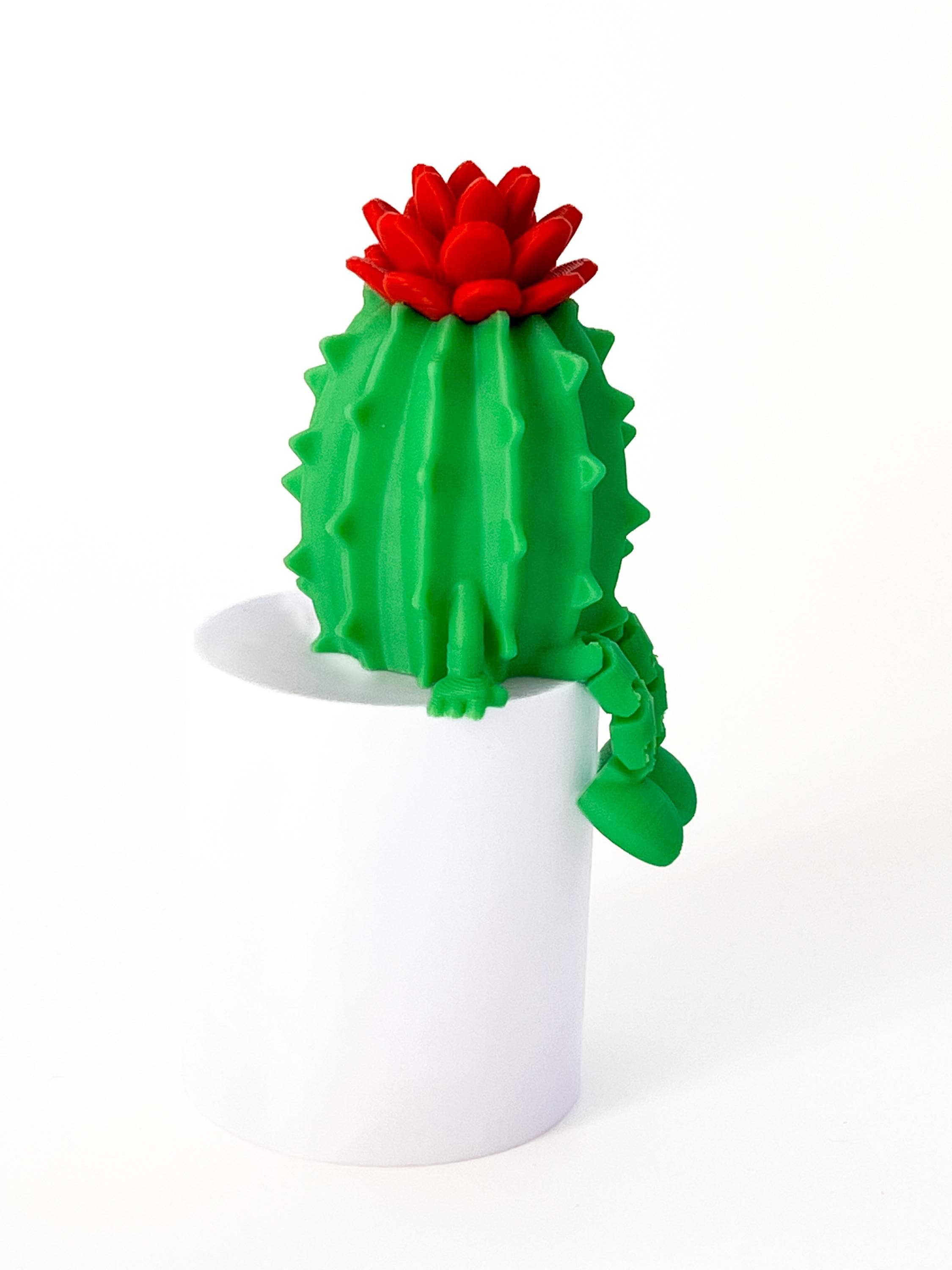 Articulated Cactus Buddy 3D Printed Succulent Figurine Cute