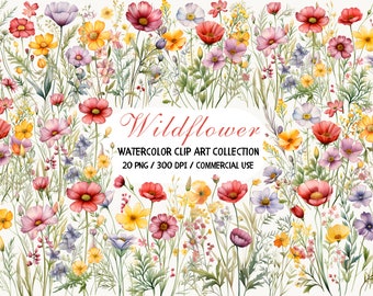 Watercolor Wildflower Clipart, Wildflower Clusters, Watercolor Flowers, Wildflower Wreath, Wildflower Border PNG, Spring Clipart, Nature PNG