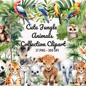 Mignons animaux de la jungle Clipart PNG, clipart baby shower, bébés animaux mignons, aquarelle des cliparts animaux, lion tigre singe girafe, animal de safari