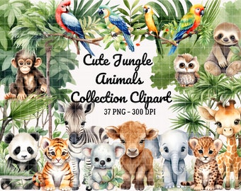 Cute Jungle Animals Clipart PNG, Baby Shower Clipart, Cute Baby Animals, Watercolor Animal Clipart, Lion Tiger Monkey Girrafe, Safari Animal