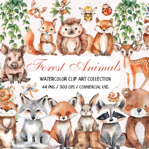 Clipart animali della foresta, clipart acquerello animali del bosco carino, arredamento della scuola materna, clipart per la doccia per bambini nel bosco, orso, volpe, bambini della foresta SVG