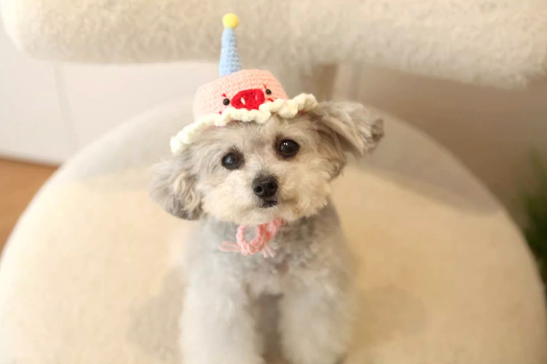 Handmade Crocheted Birthday Hat for Small Dog/cat Cute Pet Accessories