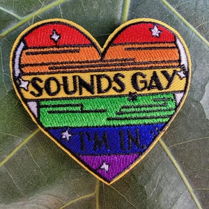 May include: A rainbow heart-shaped embroidered patch with the text "Sounds Gay I'm In" in white and black lettering.